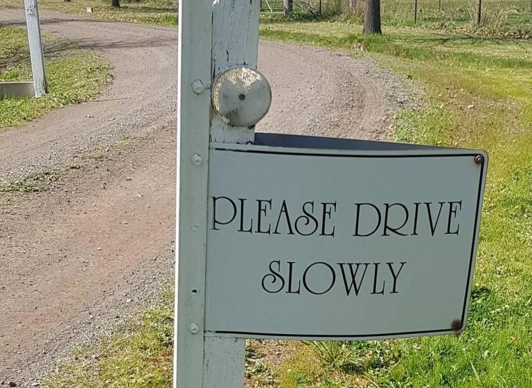 Bed and Breakfast Altitude221