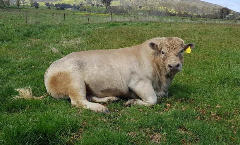 Bed and Breakfast Altitude221