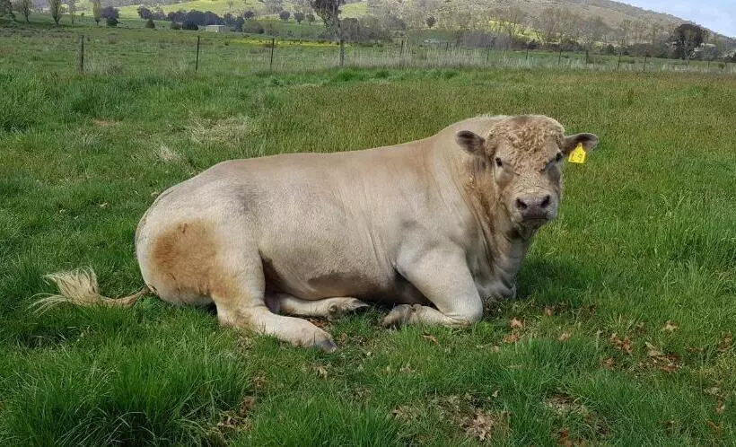 ベッドアンドブレックファースト Altitude221