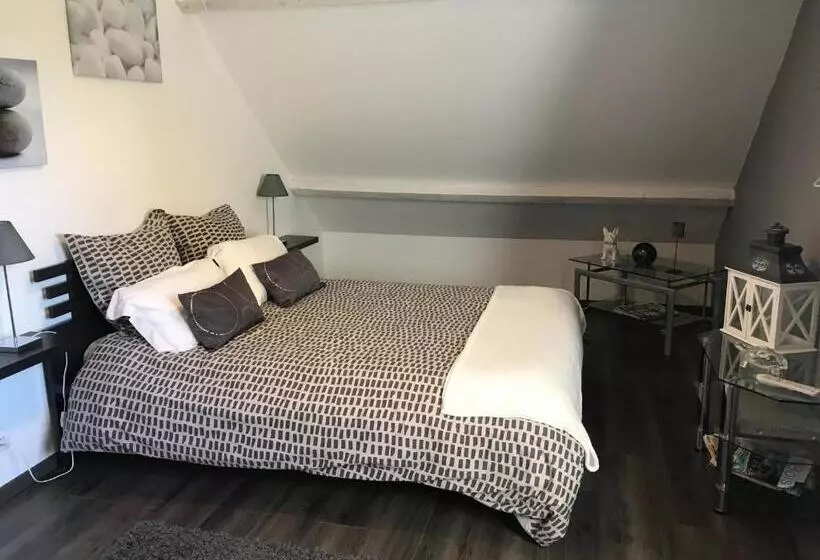 Aamiaismajoitus (B&B) Chambres D'hôtes Des Demoiselles