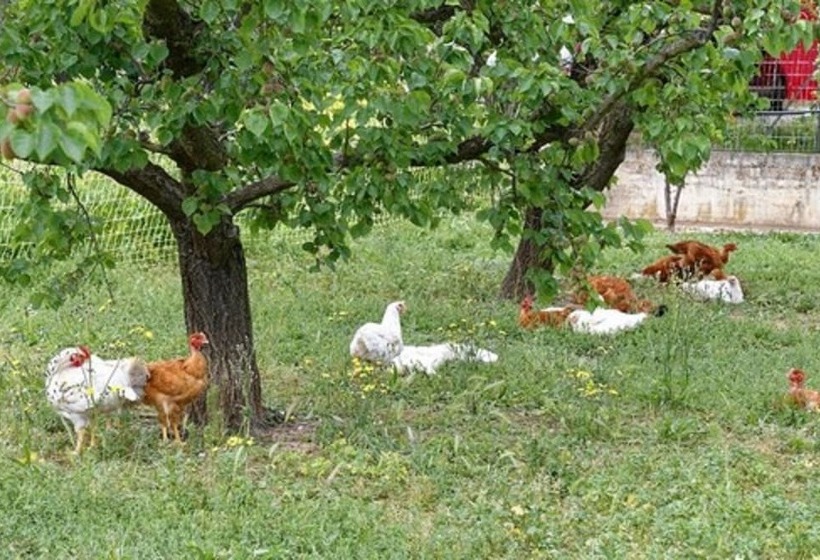 مبيت وإفطار L ôben