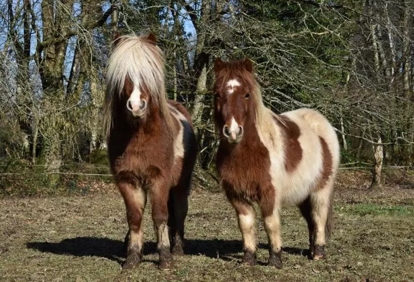 ベッドアンドブレックファースト L écrin De Pradou Glas