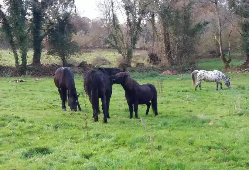 ベッドアンドブレックファースト L écrin De Pradou Glas