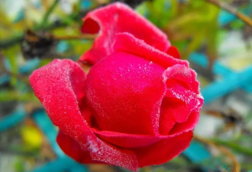 ベッドアンドブレックファースト L écrin De Pradou Glas