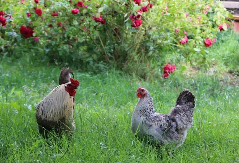 ベッドアンドブレックファースト L écrin De Pradou Glas