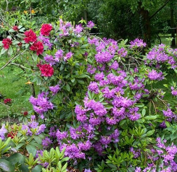 Bed and Breakfast Le Moulin Bleu