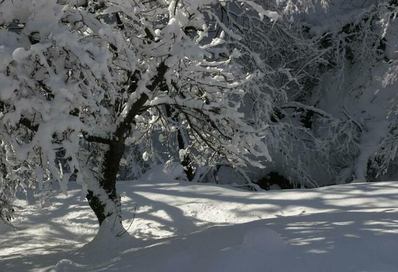 Bed and Breakfast Silenzio E Buio