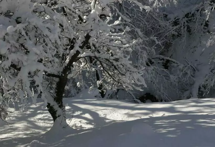 Aamiaismajoitus (B&B) Silenzio E Buio