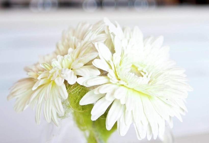 Detached Chalet Near The Netherlands Border With A Lake View