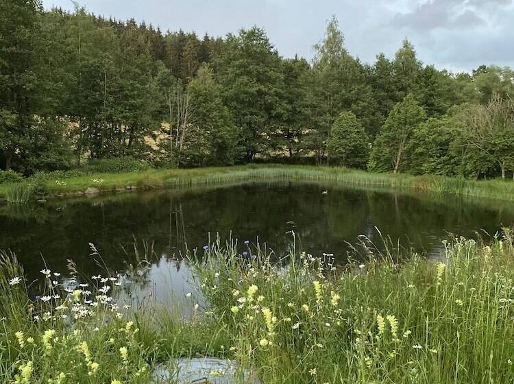 Ferienidylle Brunnersäge