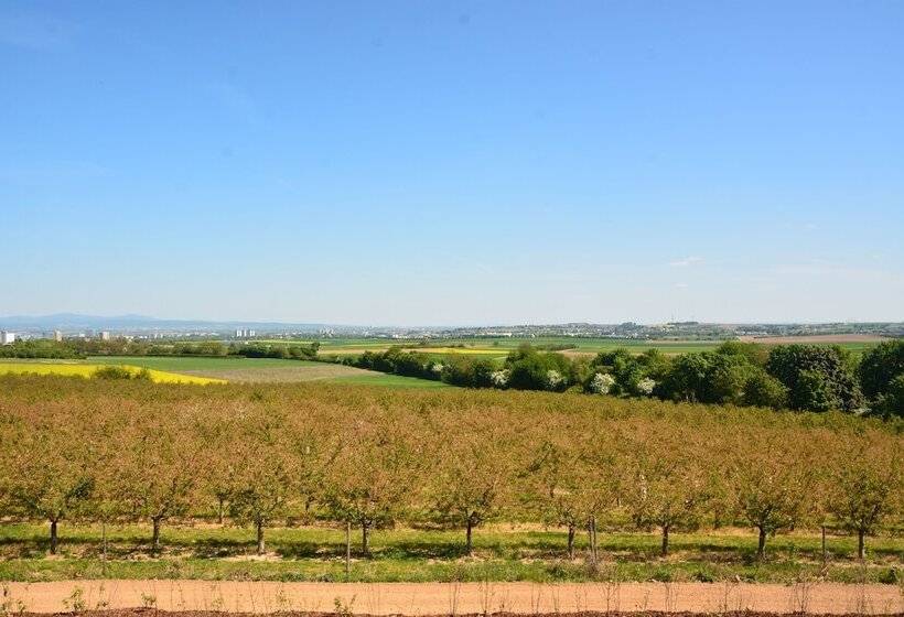Hotel Weingut Bugner Meizelhof
