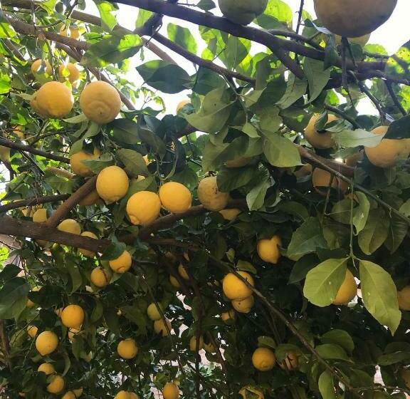 بنسيون Casa Mia