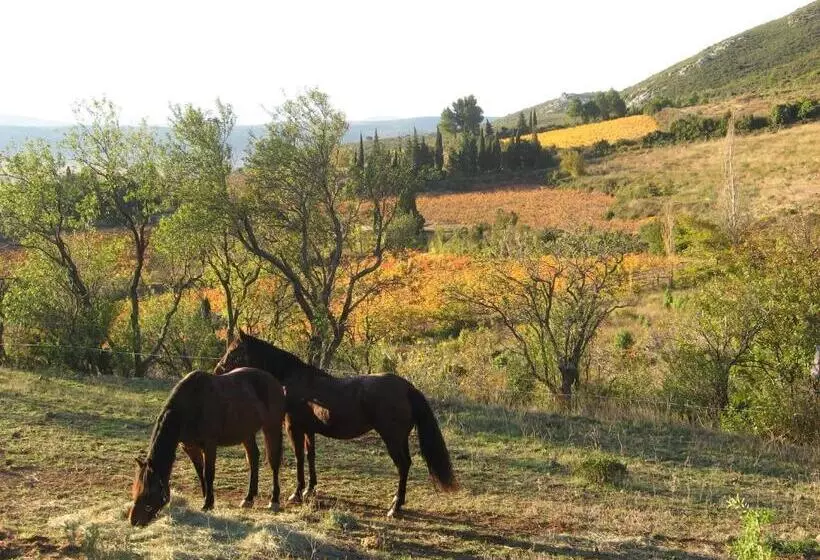 Majatalo Chambres D Hôtes Gîte Saint Roch