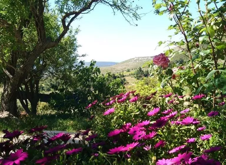 Majatalo Chambres D Hôtes Gîte Saint Roch