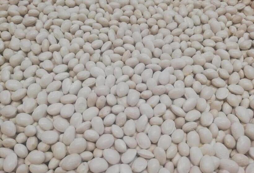 Agriturismo Terrerosse Di Massadita