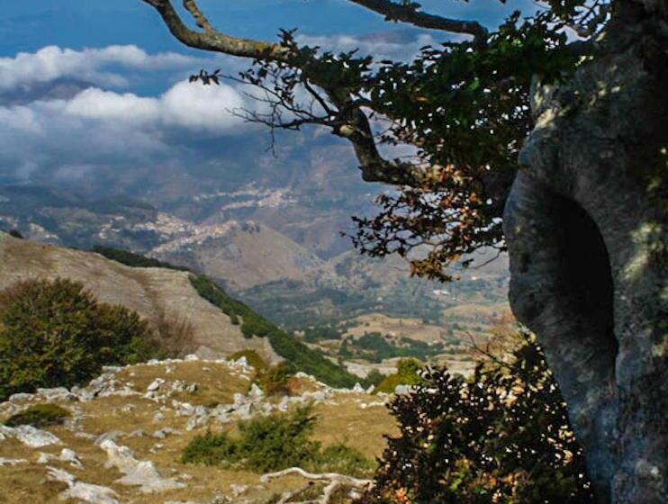 Agriturismo Terrerosse Di Massadita