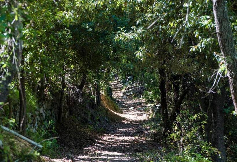 مبيت وإفطار Chambre D Hotes La Marlotte