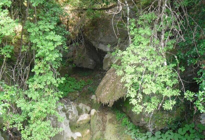 مبيت وإفطار Chambre D Hotes La Marlotte