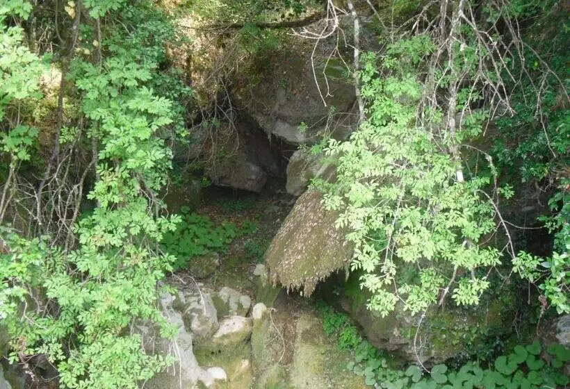 ベッドアンドブレックファースト Chambre D Hotes La Marlotte