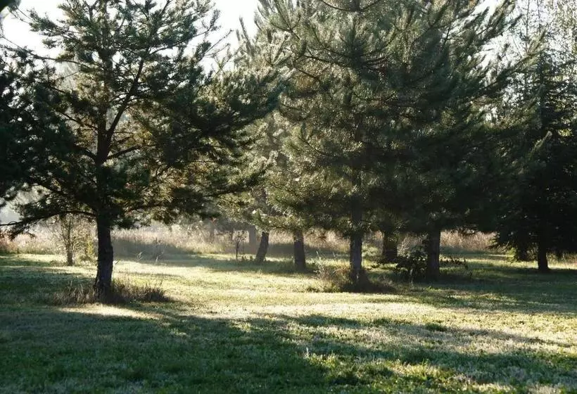 ベッドアンドブレックファースト Château De Grenier