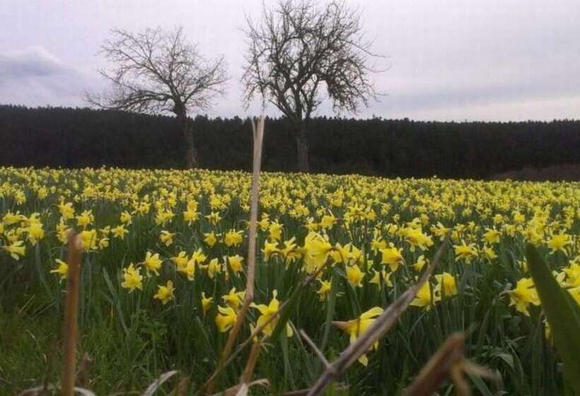 ベッドアンドブレックファースト L Embellie