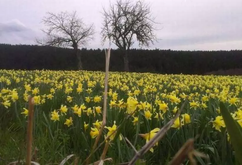 ベッドアンドブレックファースト L Embellie