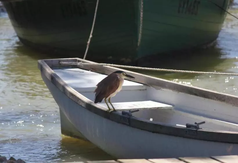 Boathouse  Birks River Retreat