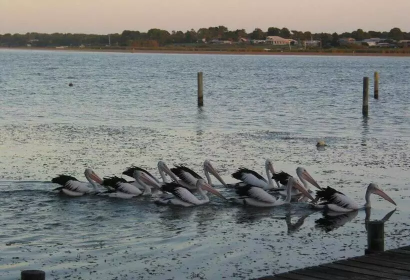 Boathouse  Birks River Retreat