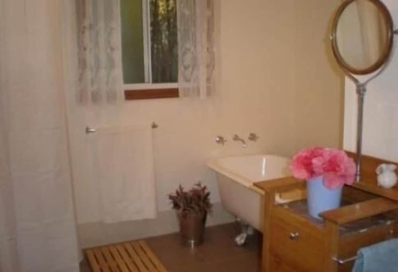 Brown's House Bed And Breakfast