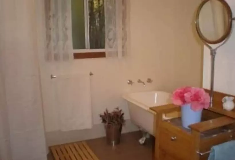 Brown's House Bed And Breakfast