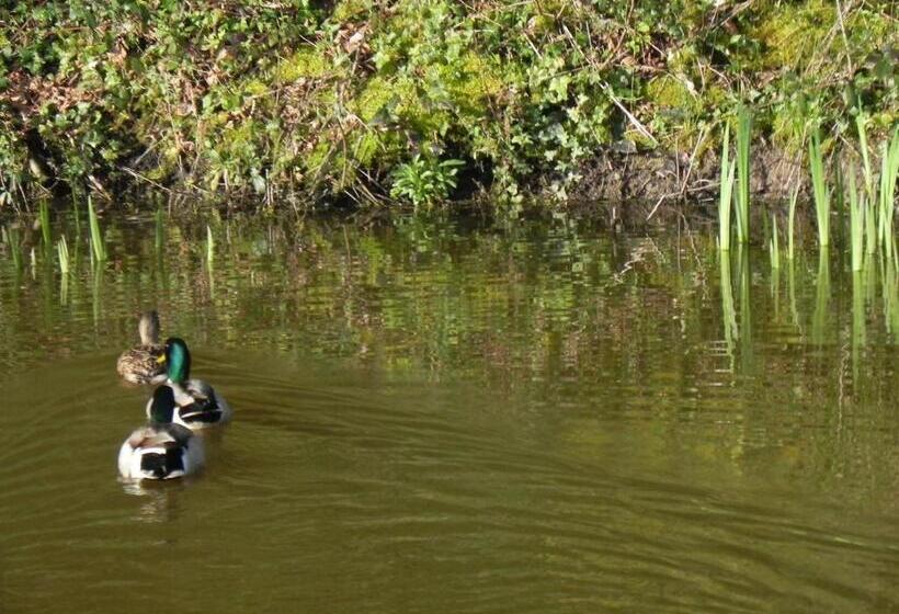 Hostel Auberge Saint Aubin
