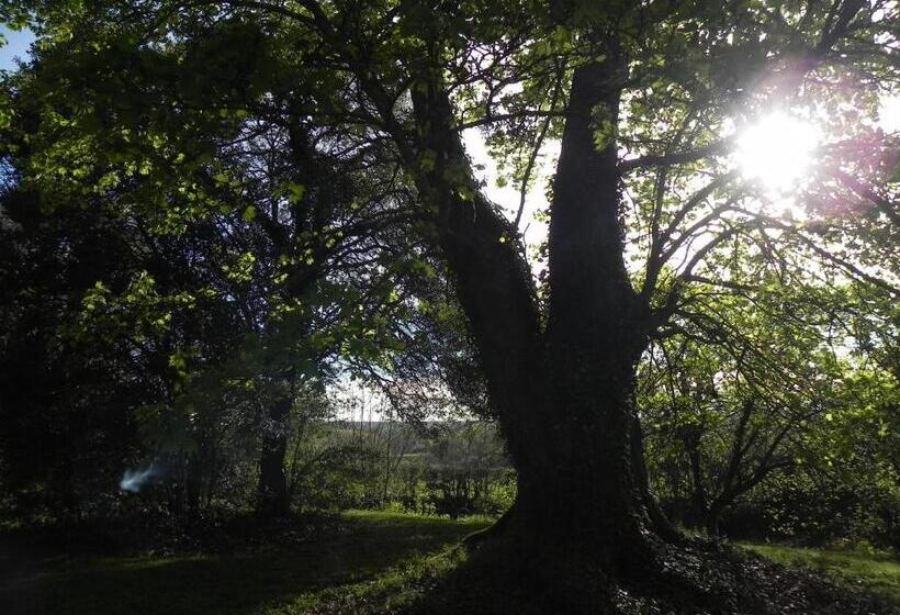 Hostel Auberge Saint Aubin