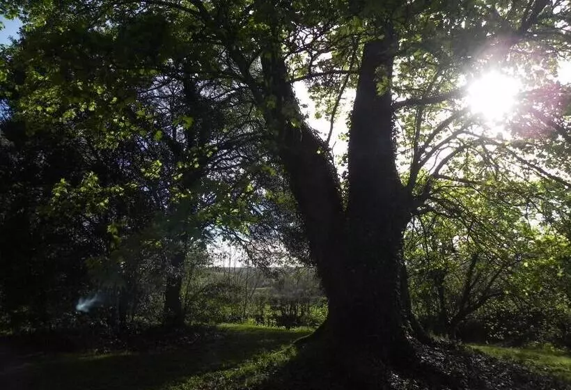 Hostelli Auberge Saint Aubin