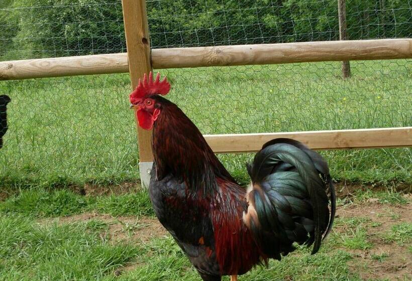 Hostel Auberge Saint Aubin