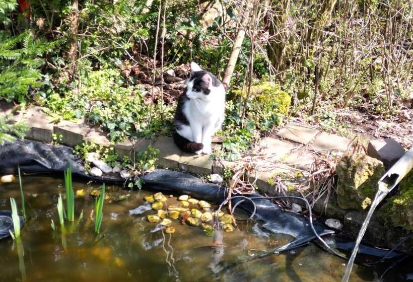 בית מלון כפרי Restaurant Birgeler Hof