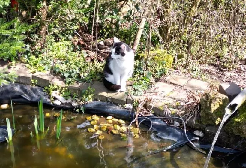 Hotelli Restaurant Birgeler Hof