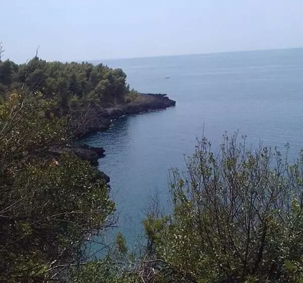 Maaseutuhotelli Le Dieci Querce