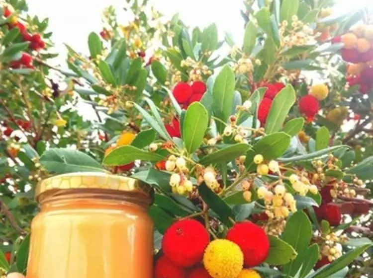 Maaseutuhotelli Le Dieci Querce