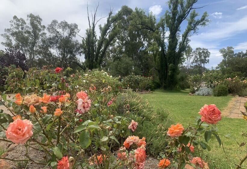 모텔 Newell Motor Inn Narrandera