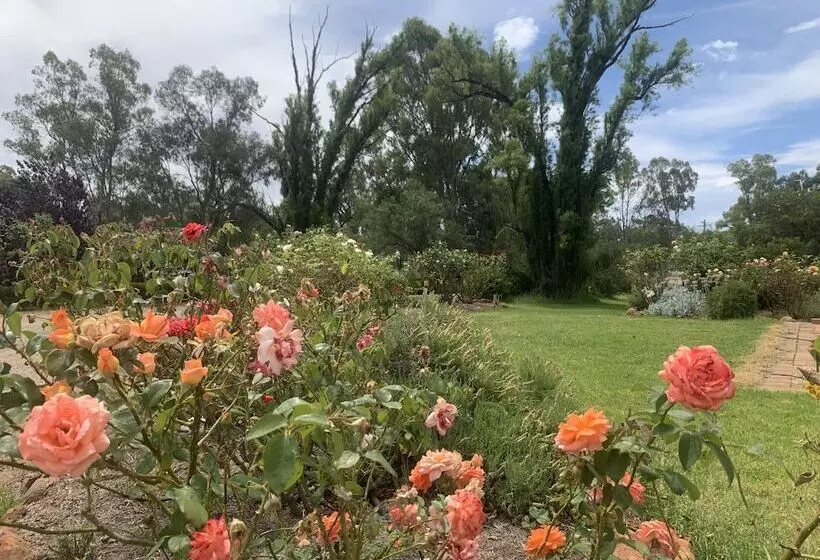 Motelli Newell Motor Inn Narrandera