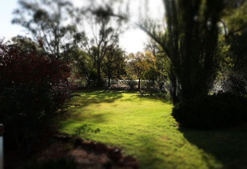 모텔 Newell Motor Inn Narrandera