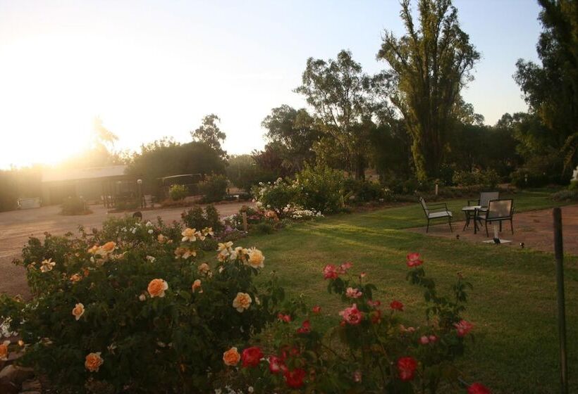 모텔 Newell Motor Inn Narrandera