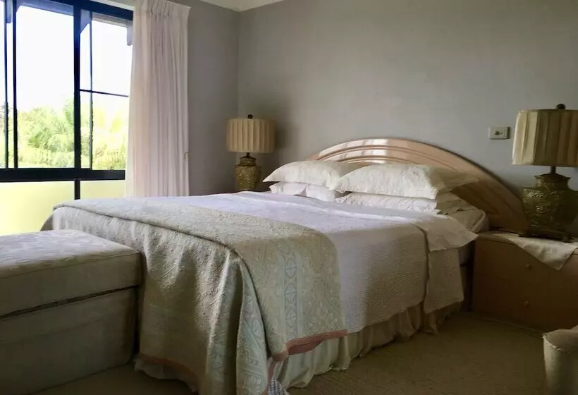 Seaview Bed And Breakfast