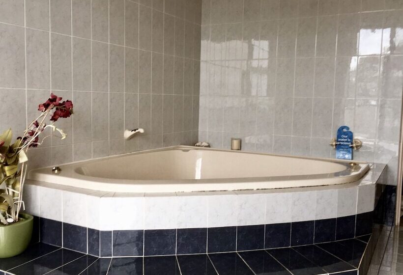 Seaview Bed And Breakfast