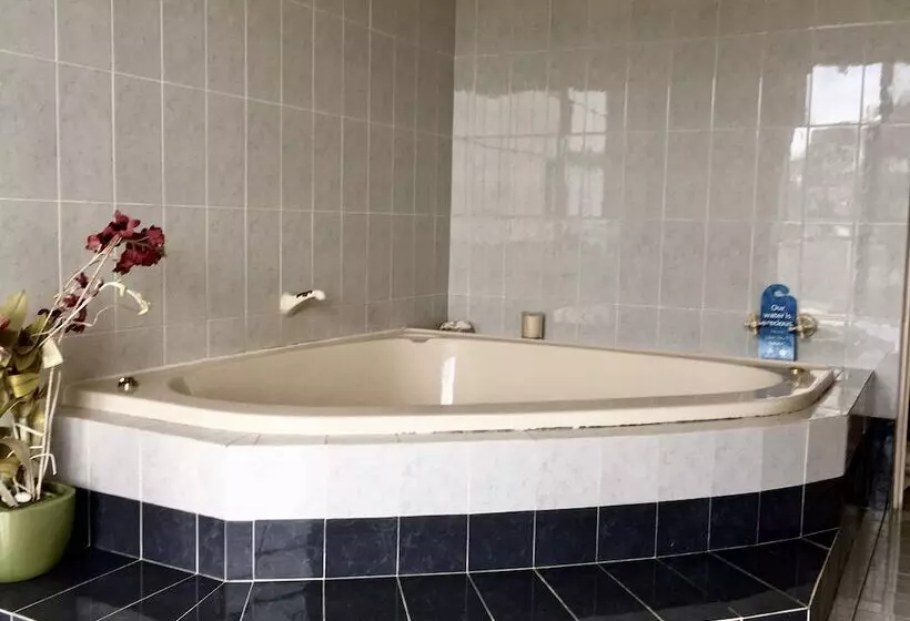 Seaview Bed And Breakfast