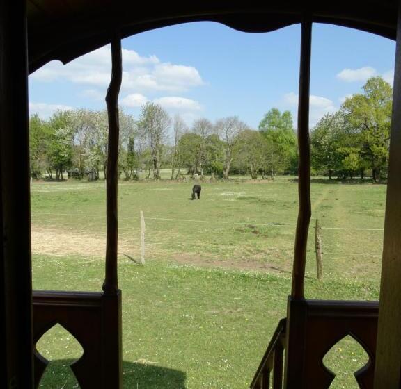 Bed and Breakfast Une Roulotte Et Des Chevaux