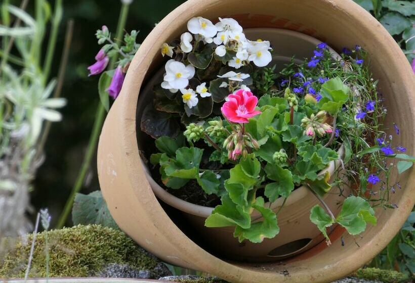 민박 La Belle âme