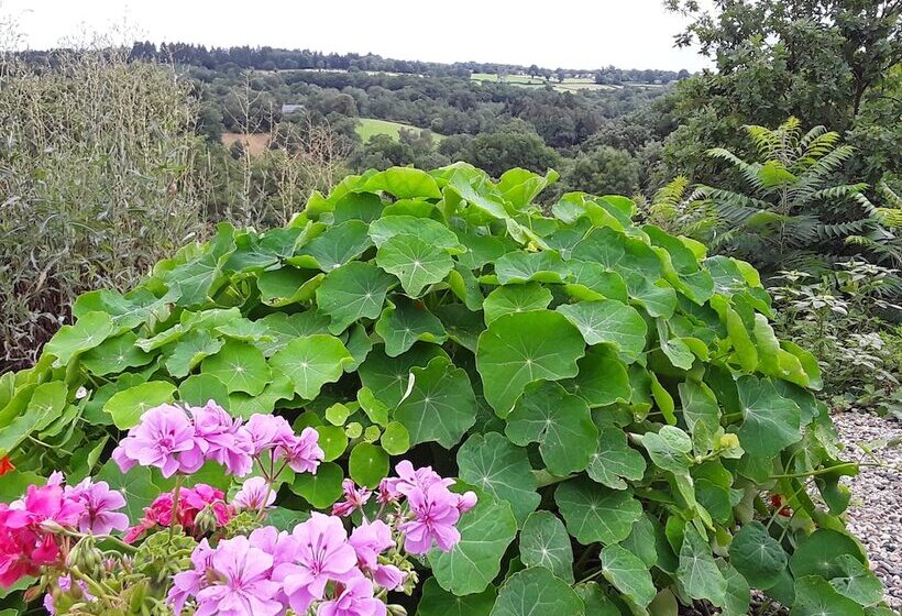 민박 La Belle âme