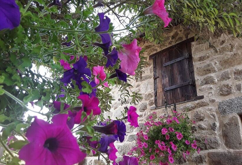 민박 La Belle âme