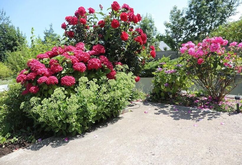 مبيت وإفطار Mon Taj Mahal